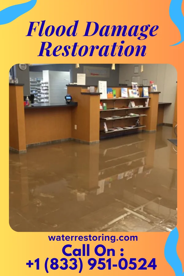 Flood Damage Restoration in Gastonia, NC
