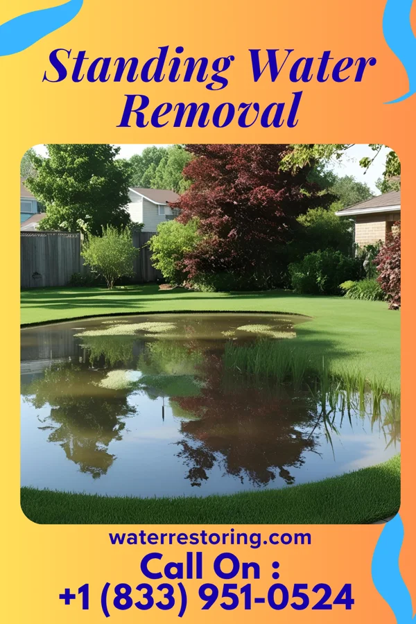 Standing Water Removal in Gastonia, NC